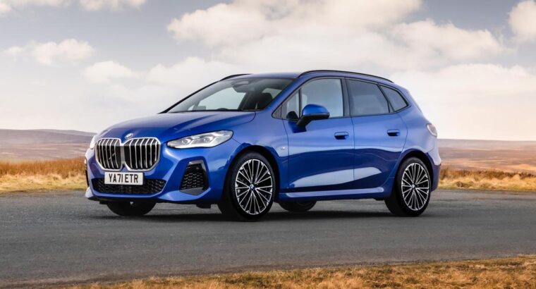 Adorable Persian Kitten