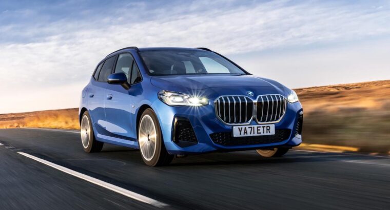 Adorable Persian Kitten