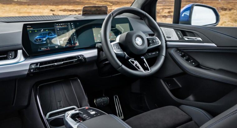 Adorable Persian Kitten