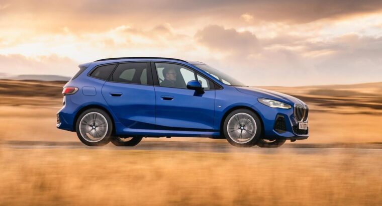 Adorable Persian Kitten