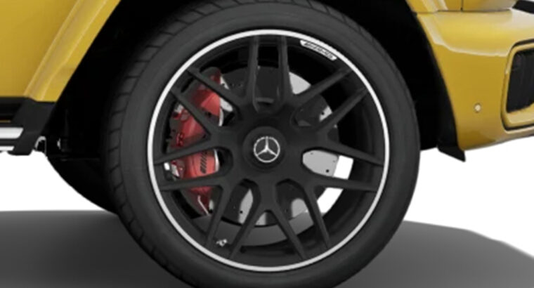 Golden Retriever puppy