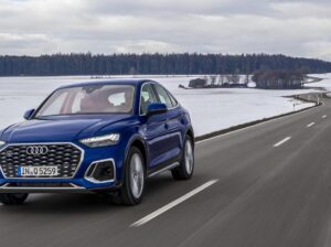 Breeder Ragdolls White cat